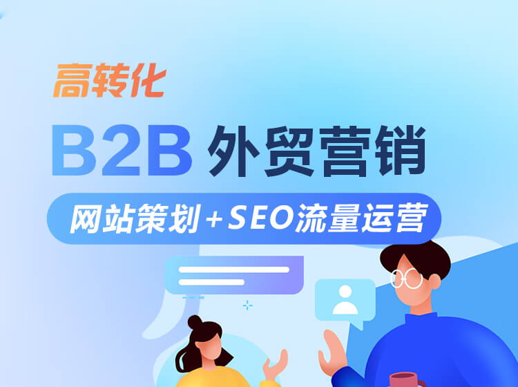 B2B 外贸营销 网站策划+SEO流量运营